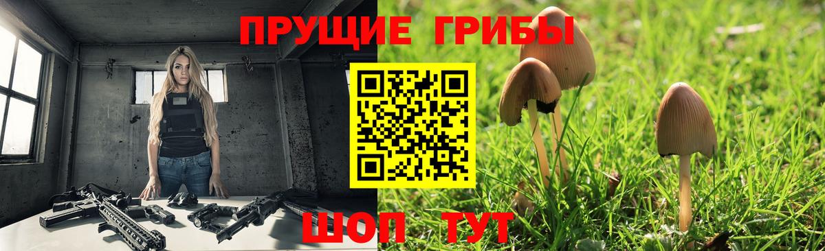 цена наркотик  Галлюциногенные грибы мухоморы  Вход с VPN  Полысаево  Псилоцибиновые грибы Cubensis 